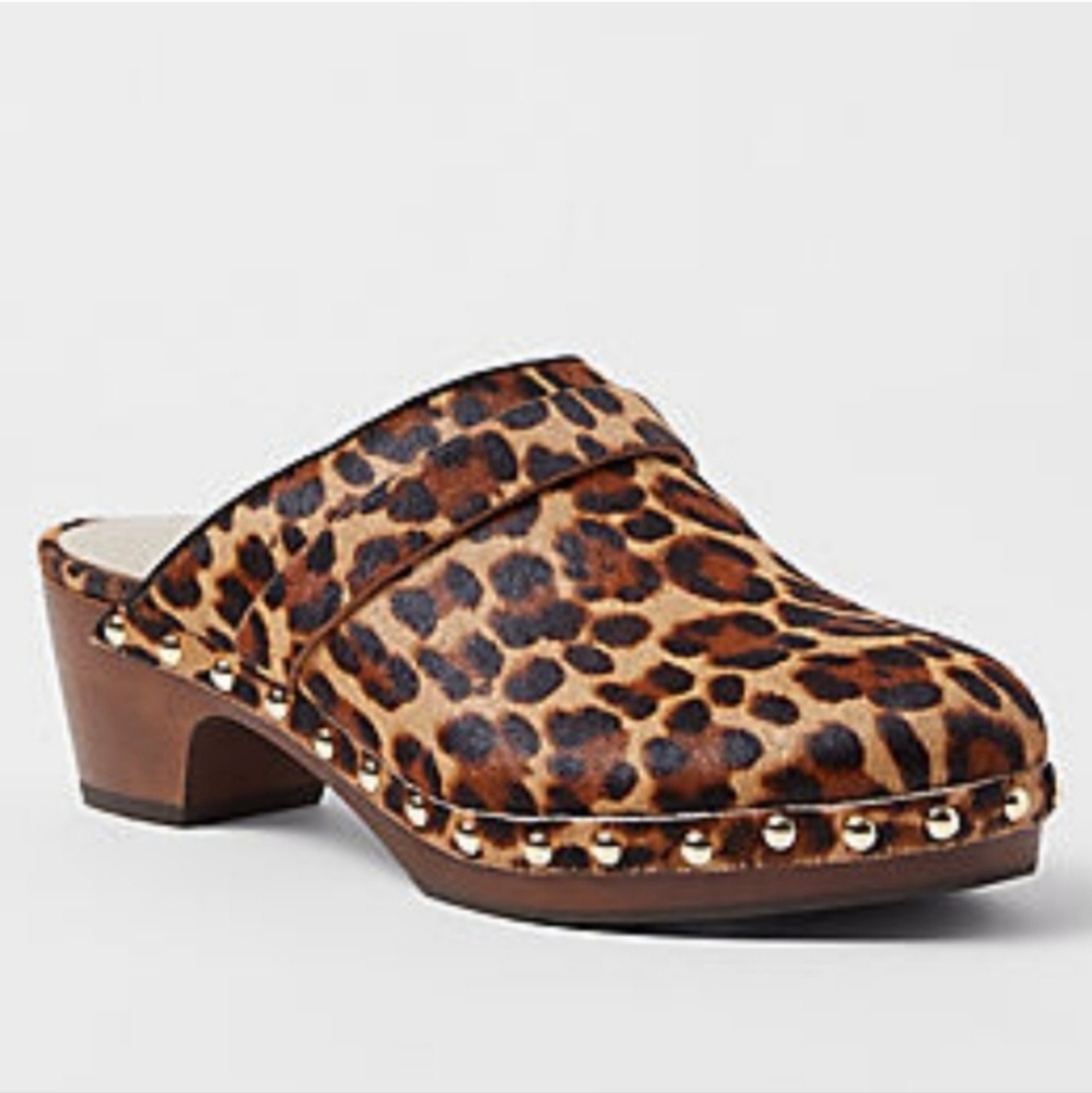 Ann Taylor Leopard Print Mules with Studded Detail